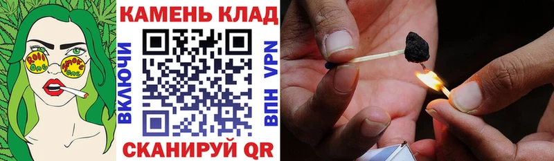ГАШ Premium  Далматово 