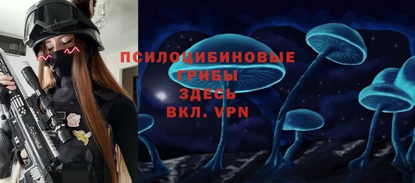 а пвп мука Богородицк