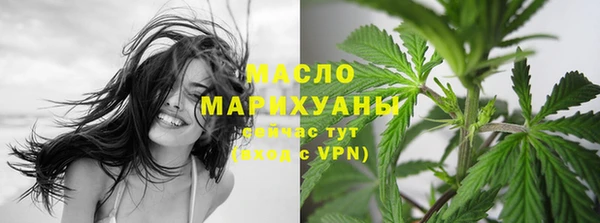 твердый Бородино