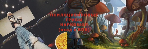 шишки Богданович