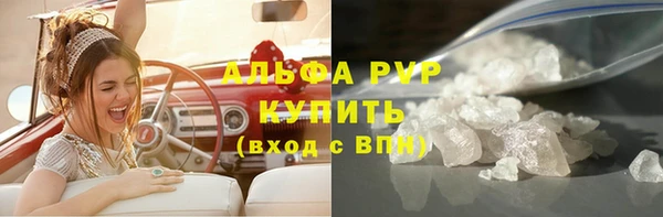 твердый Бородино