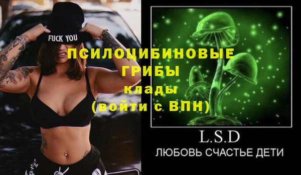 экстази Богородск